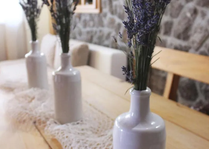 Fuer Zwei Erwachsene Und Zwei By Interhome Appartement *
